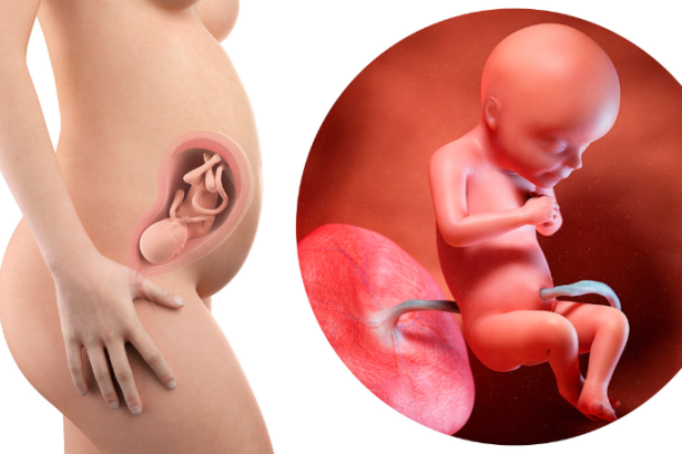 Dra. Thaline Neves explica o que é bem-estar fetal e como exames específicos ajudam a monitorar a saúde do bebê durante a gestação.