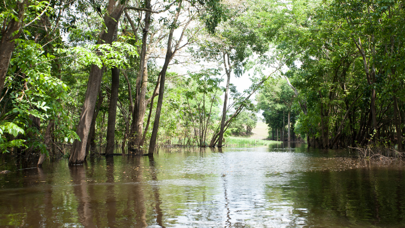 A tecnologia brasileira da Liderroll pode viabilizar aqueduto histórico para salvar o Mar Morto, unindo inovação e impacto ambiental positivo. Produção de Paulo Roberto Gomes Fernandes.