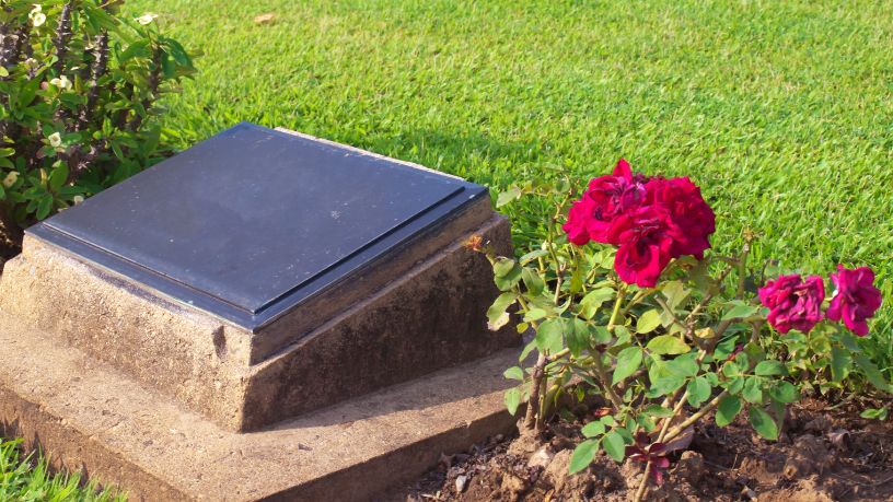 Espaço memorial repensado com infraestrutura moderna na análise de Tiago Schietti.