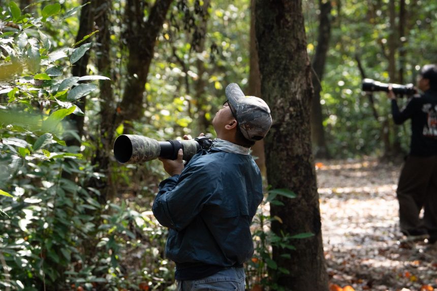 Duas pessoas observam aves em uma trilha de floresta usando câmeras com lentes teleobjetivas.