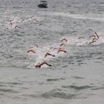 Grupo de nadadores participa de uma prova de natação em mar aberto.